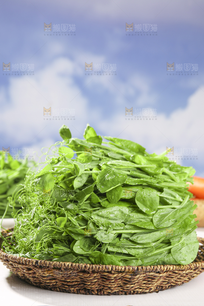 浅底上的豌豆尖