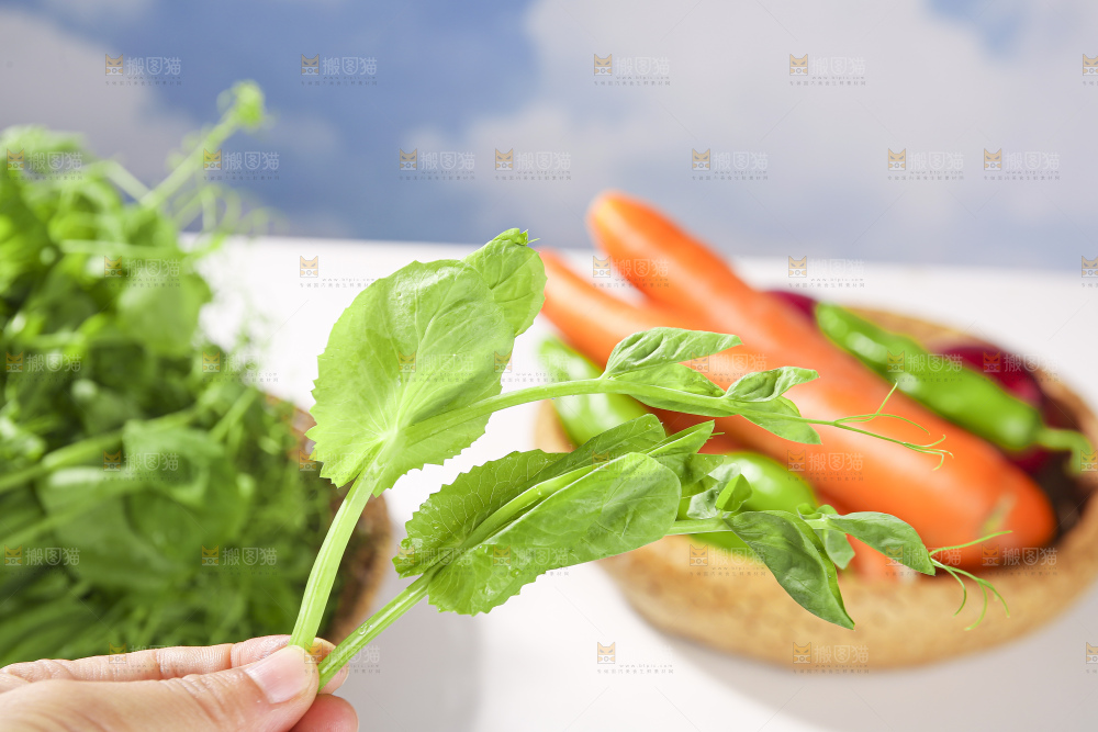 浅底上的豌豆尖