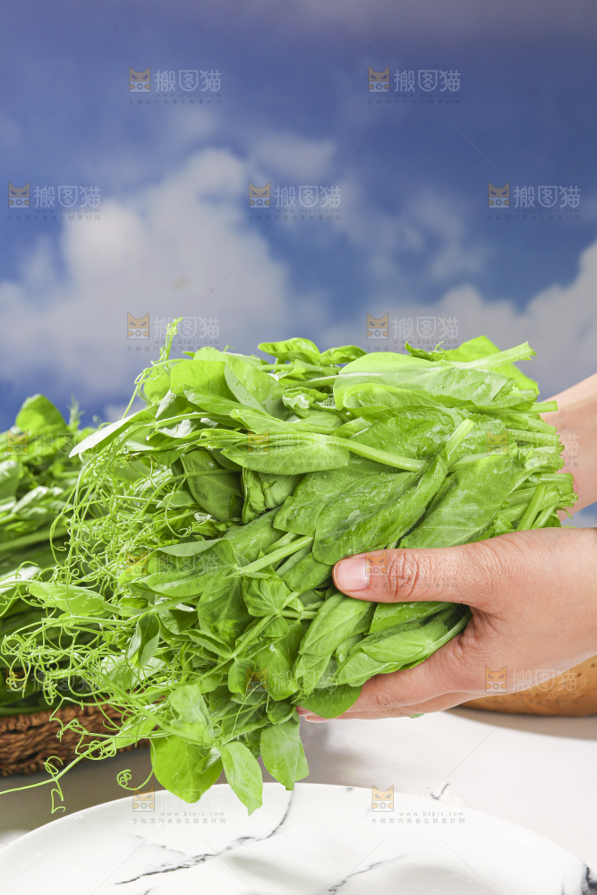 浅底上的豌豆尖
