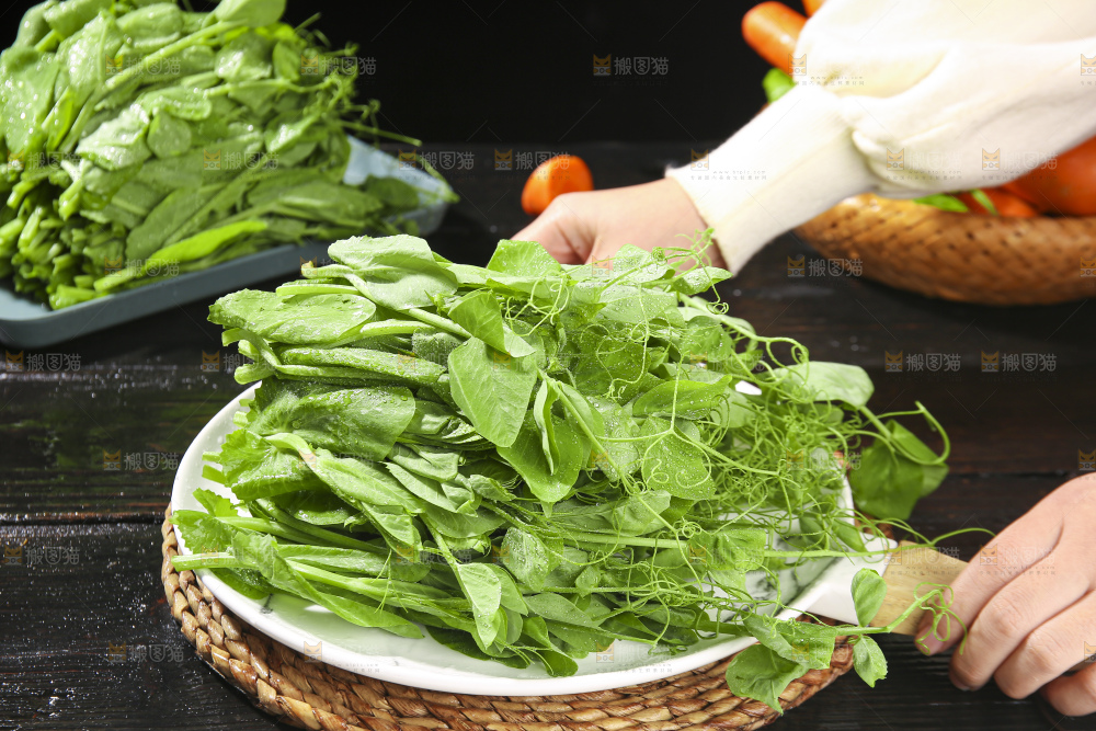 深底上的豌豆苗