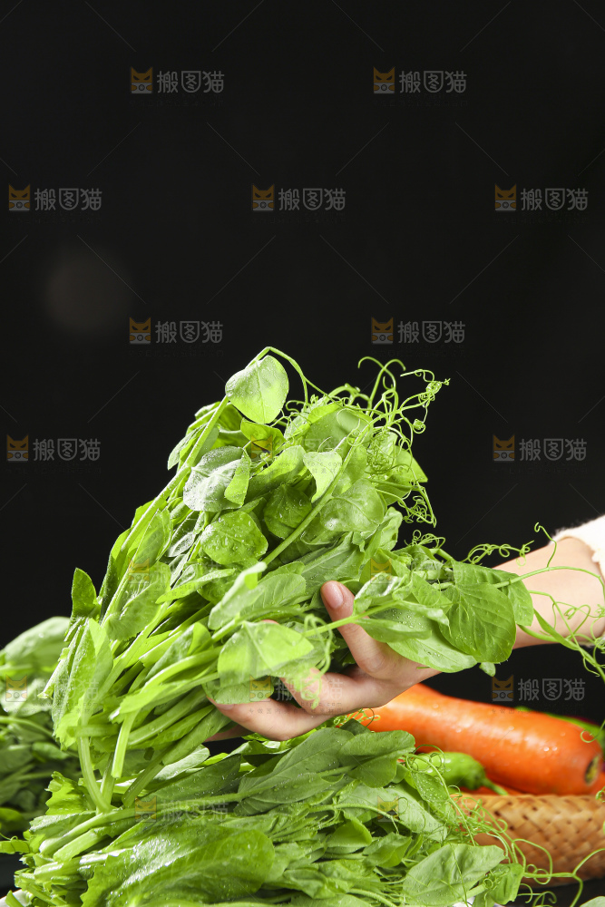 深底上的豌豆苗