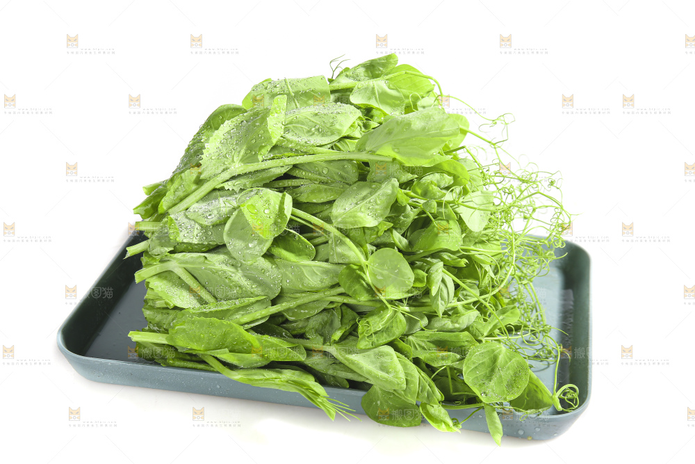 白底上的豌豆苗