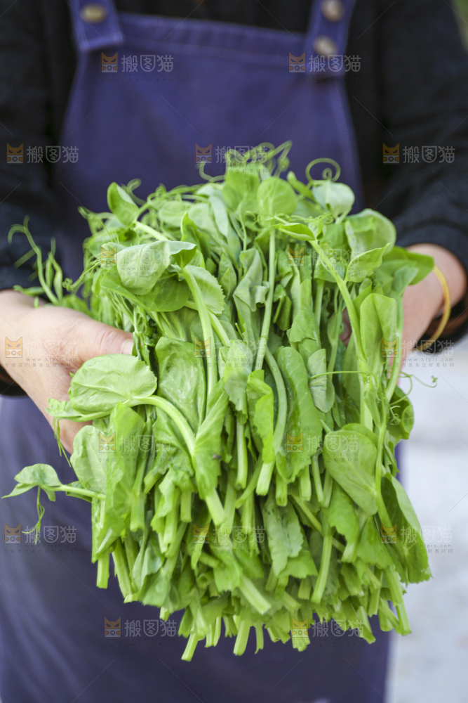 手里拿着豌豆尖