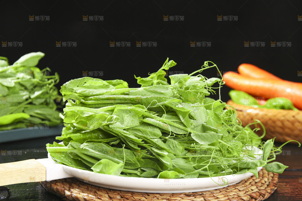 深底上的豌豆苗