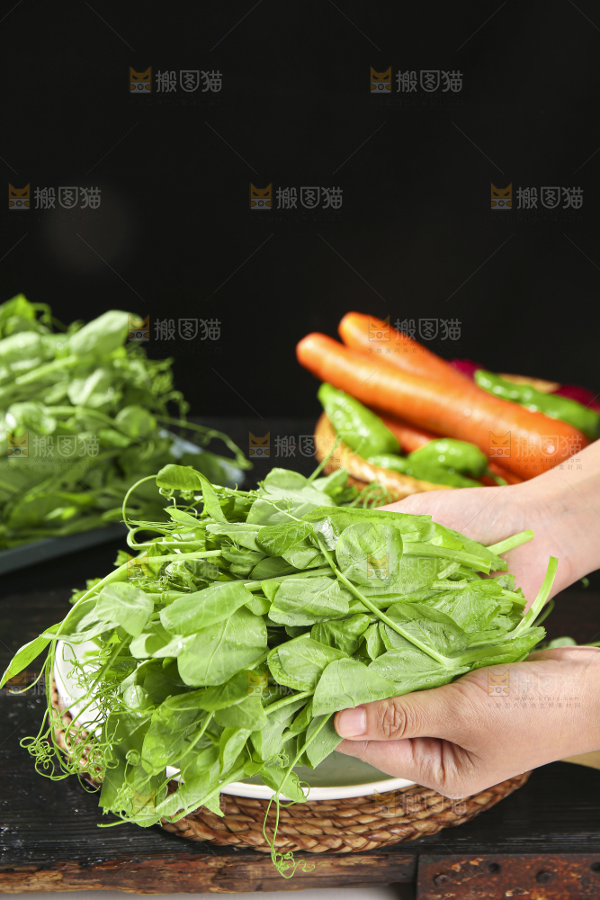 深底上的豌豆苗