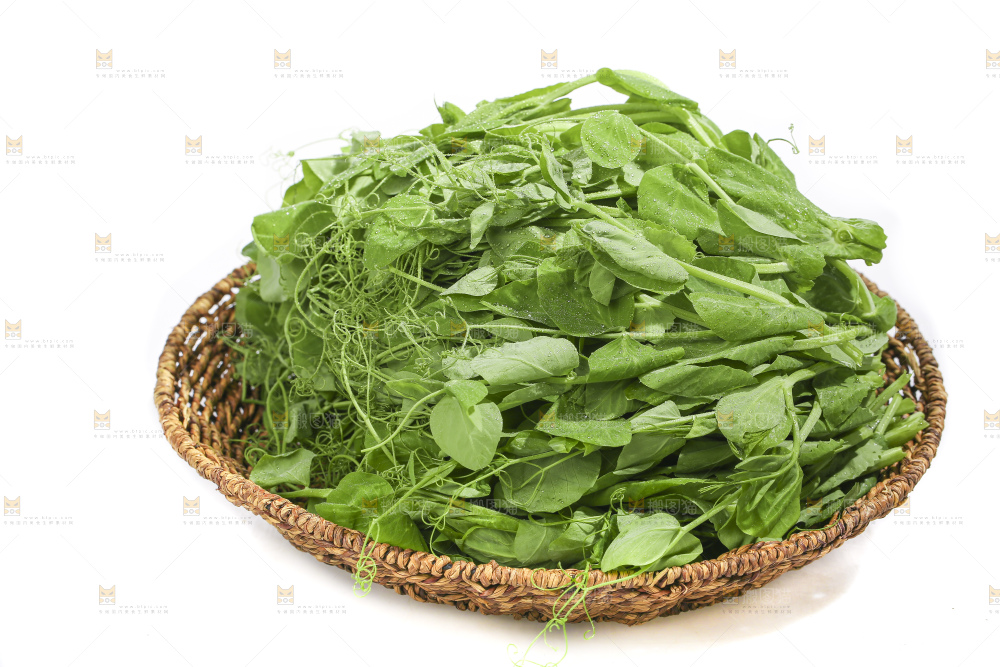 白底上的豌豆苗