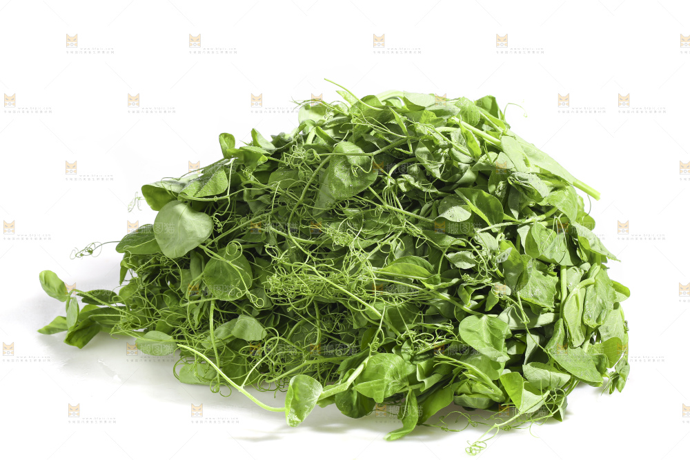 白底上的豌豆苗