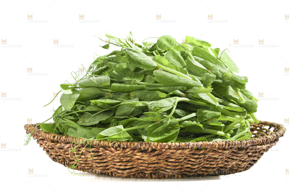 白底上的豌豆苗