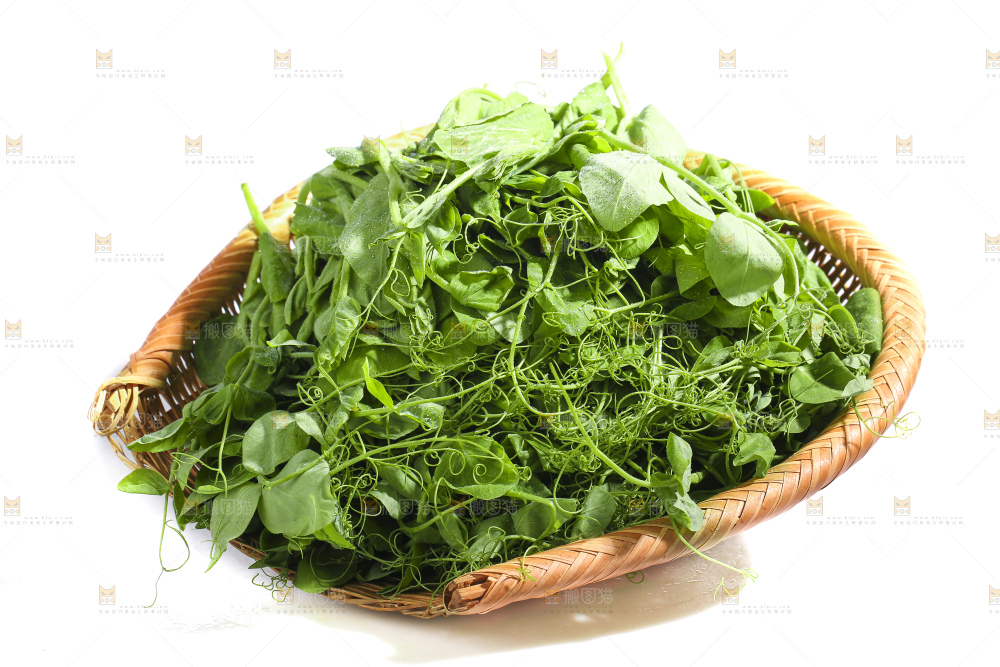 白底上的豌豆苗