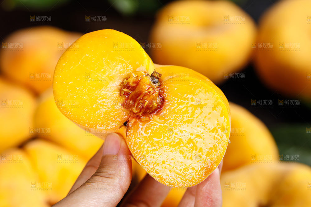黄金毛蟠桃
