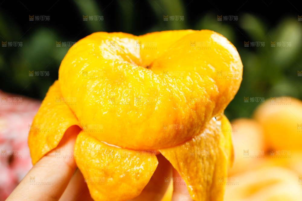黄金毛蟠桃