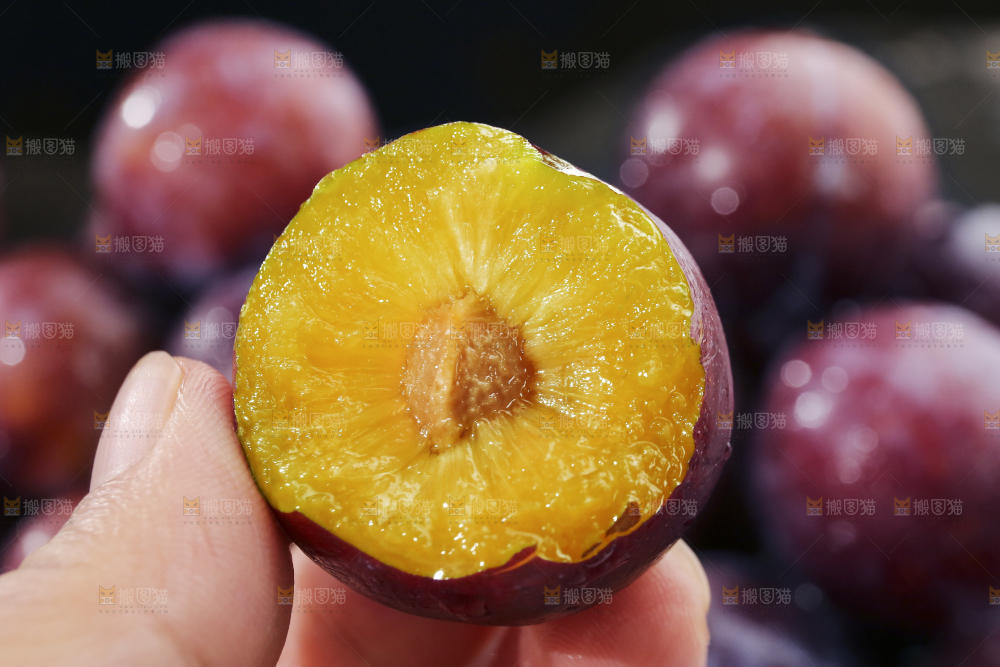 深底上放着脱骨李