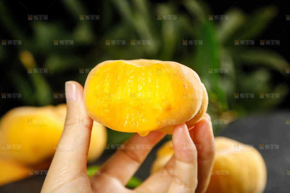 深底上的黄毛蟠桃