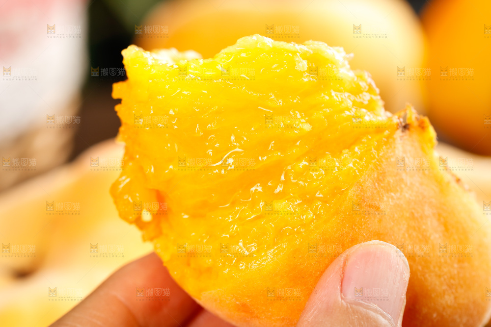深底上的黄毛蟠桃