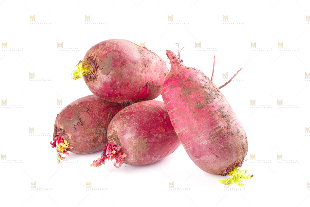 白底上的紫美人萝卜