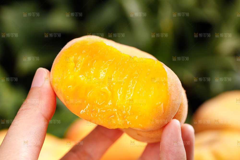 深底上的黄毛蟠桃