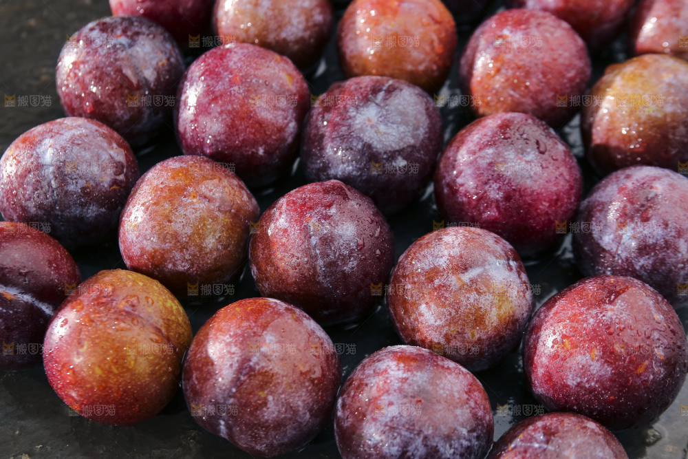 深底上放着脱骨李