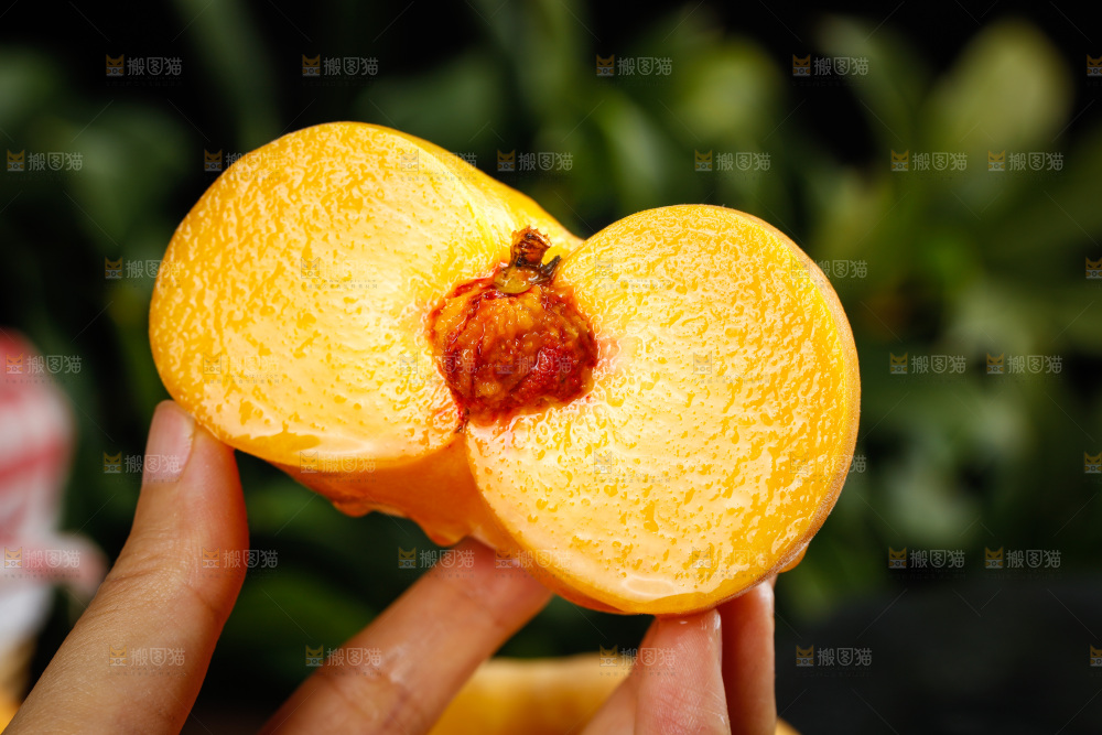 深底上的黄毛蟠桃