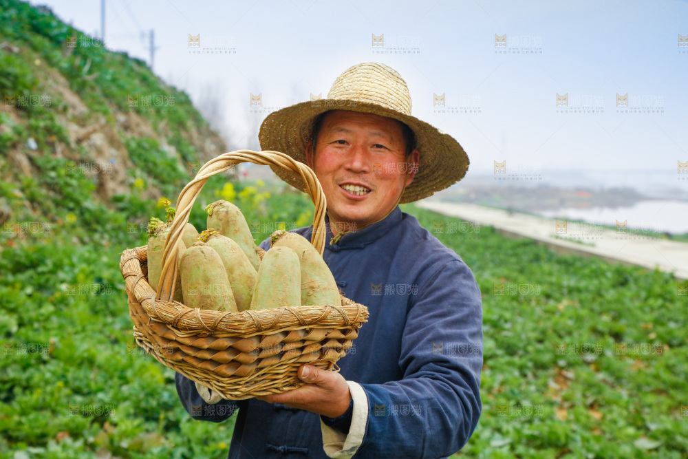 手里拿着水果萝卜