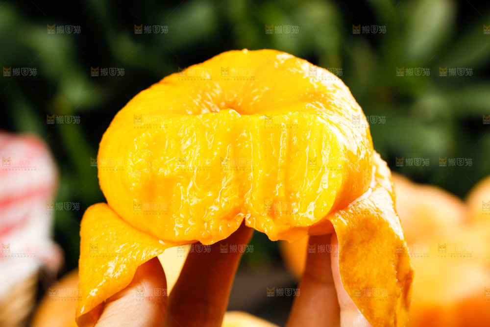 深底上的黄毛蟠桃