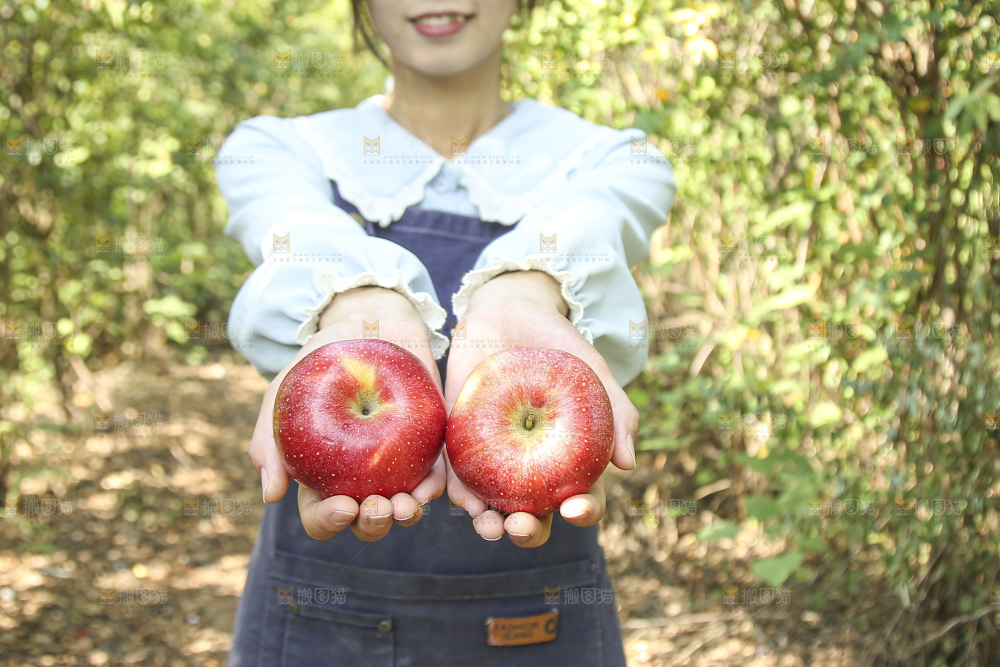 手里拿着高原红苹果
