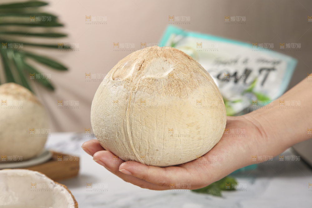 浅底上的泰国进口烤椰