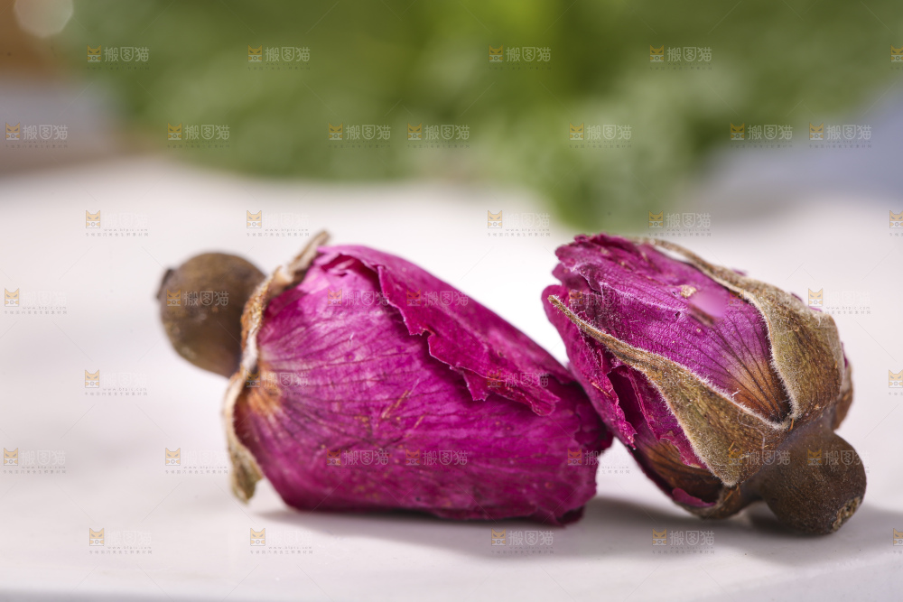浅底上的玫瑰花干
