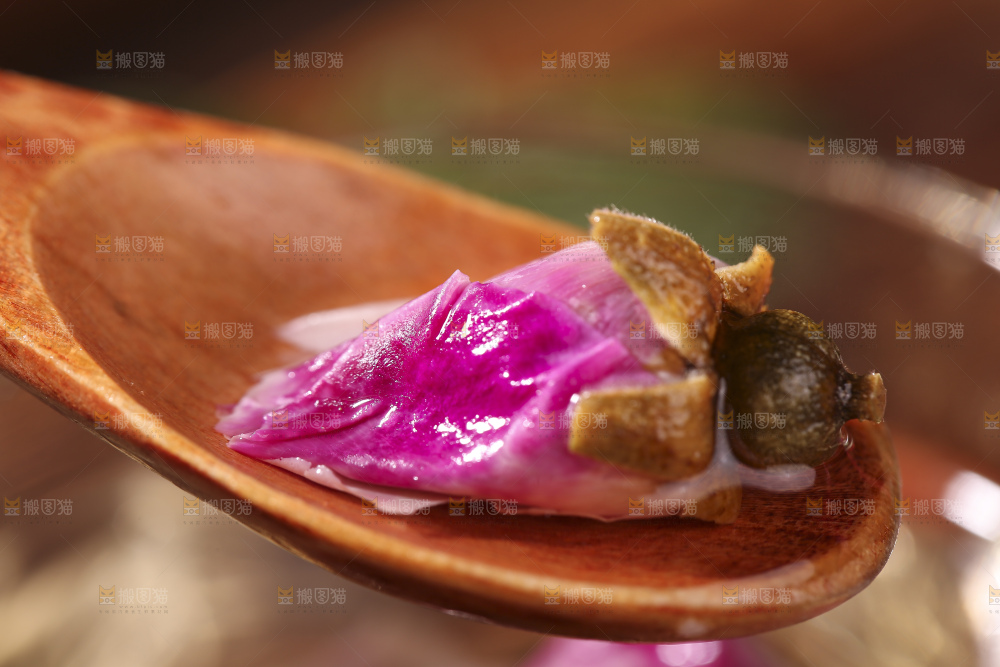 杯子里的玫瑰花茶