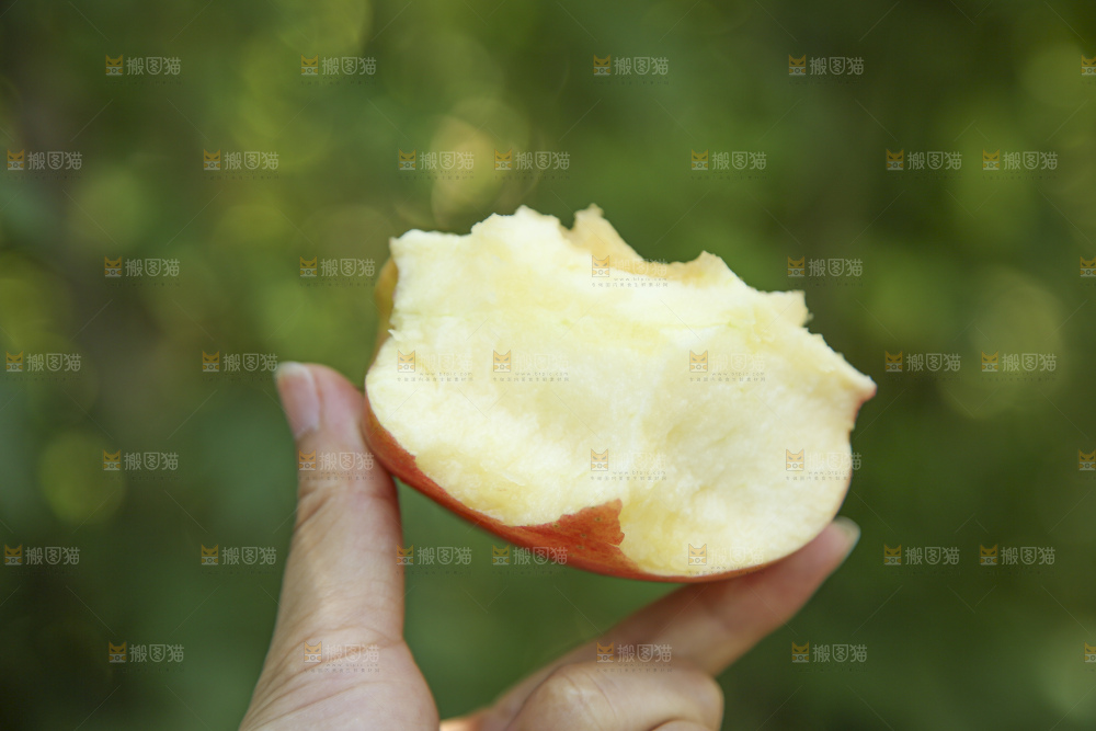 手里拿着高原红苹果