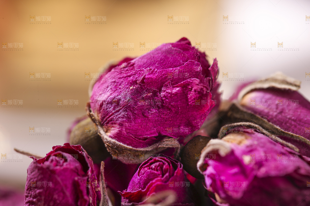 木底上的干玫瑰花