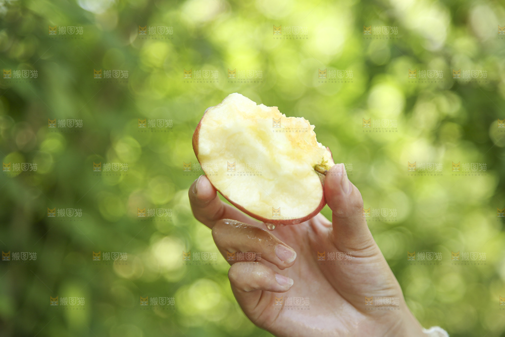 手里拿着高原红苹果