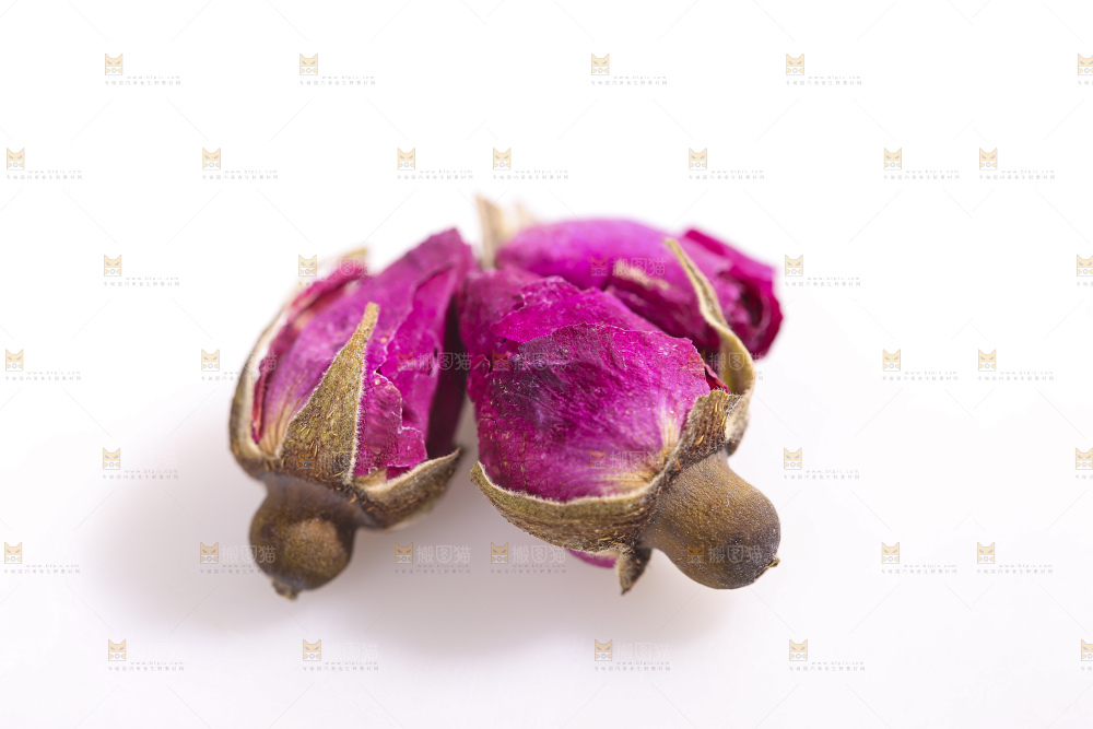 白底上的玫瑰花干