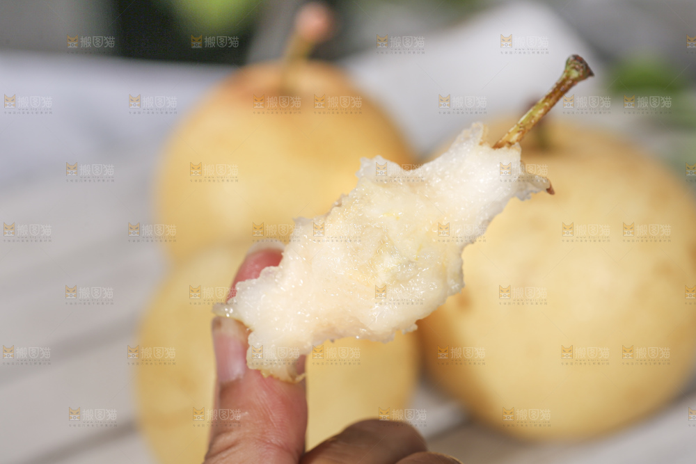 浅底上的皇冠梨