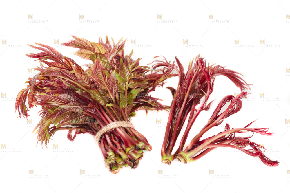 白底上放着红芽香椿