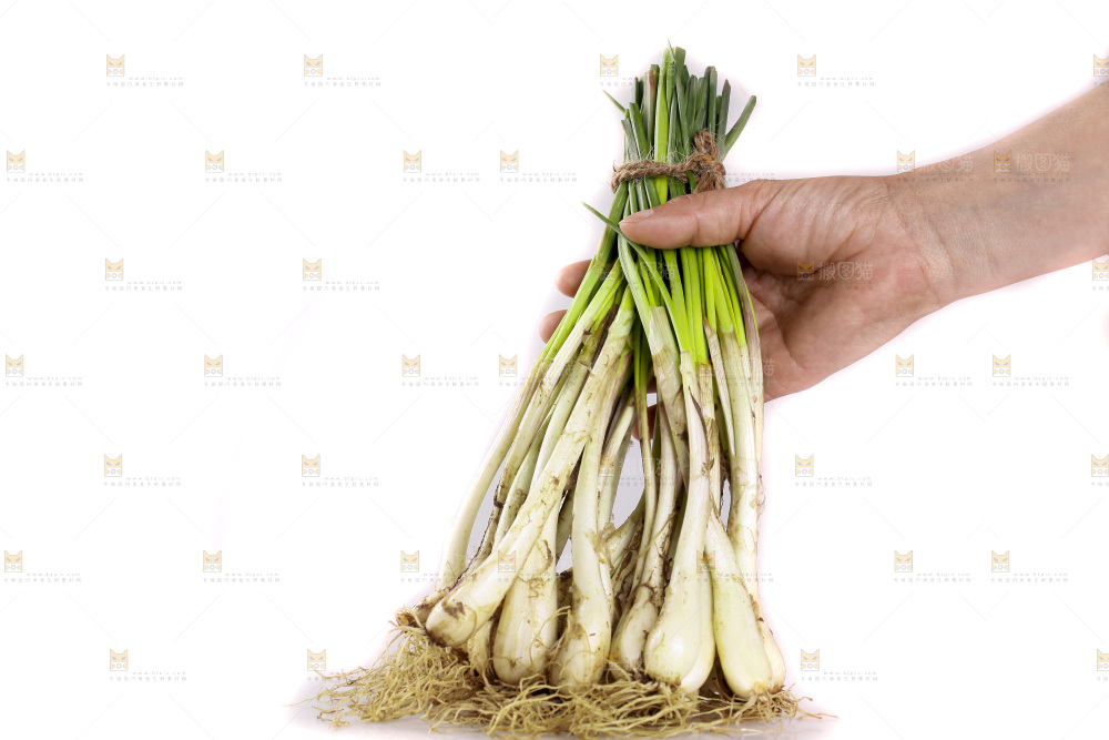 白底上放着小葱