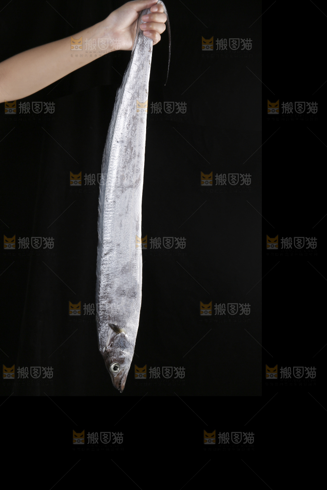 深底新鲜带鱼