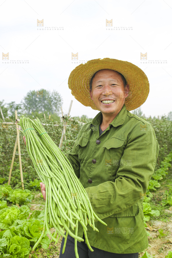手里拿着新鲜长豆角