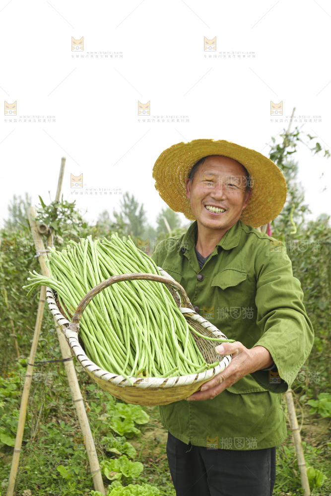 手里拿着鲜嫩长豆角