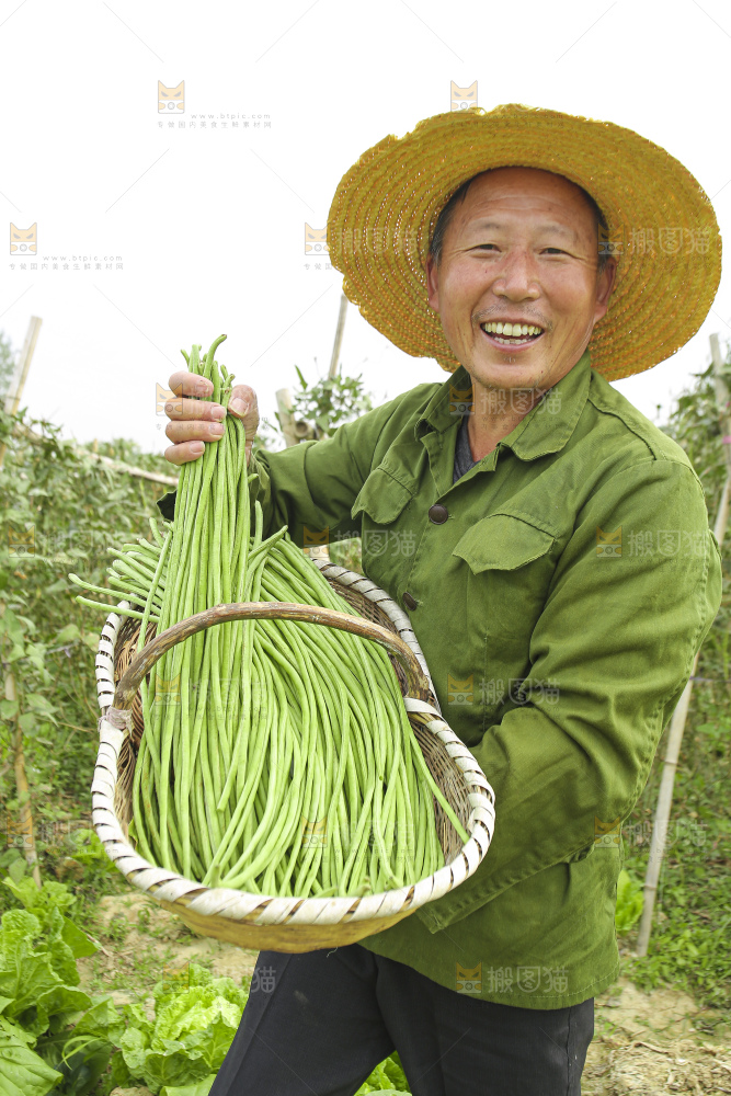 手里拿着鲜嫩长豆角