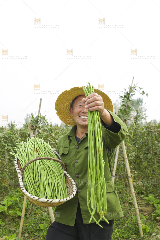 手里拿着鲜嫩长豆角