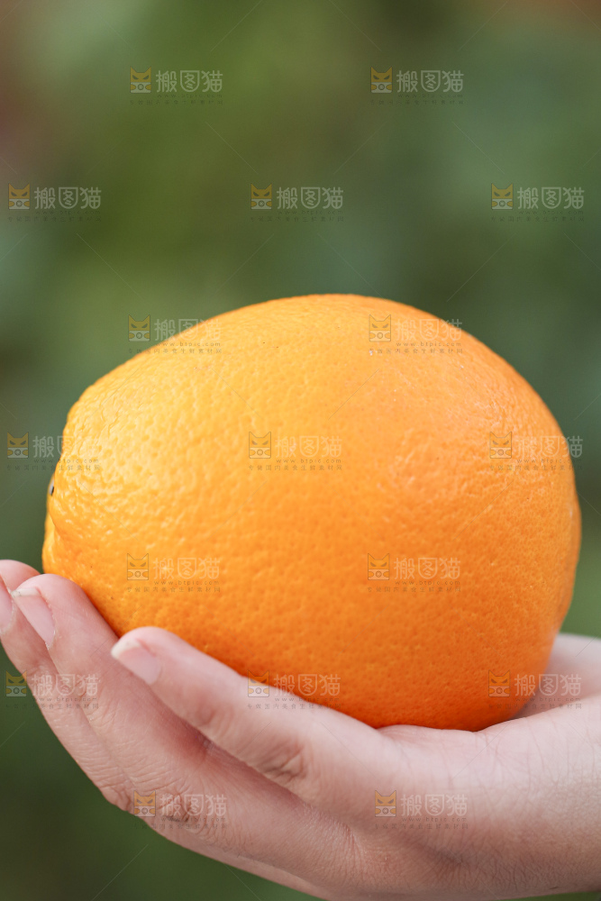 手里拿着赣南脐橙