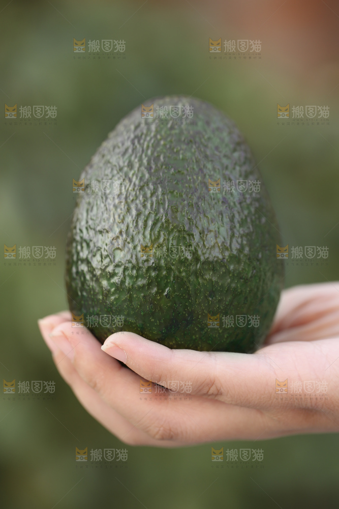 手里拿着秘鲁牛油果