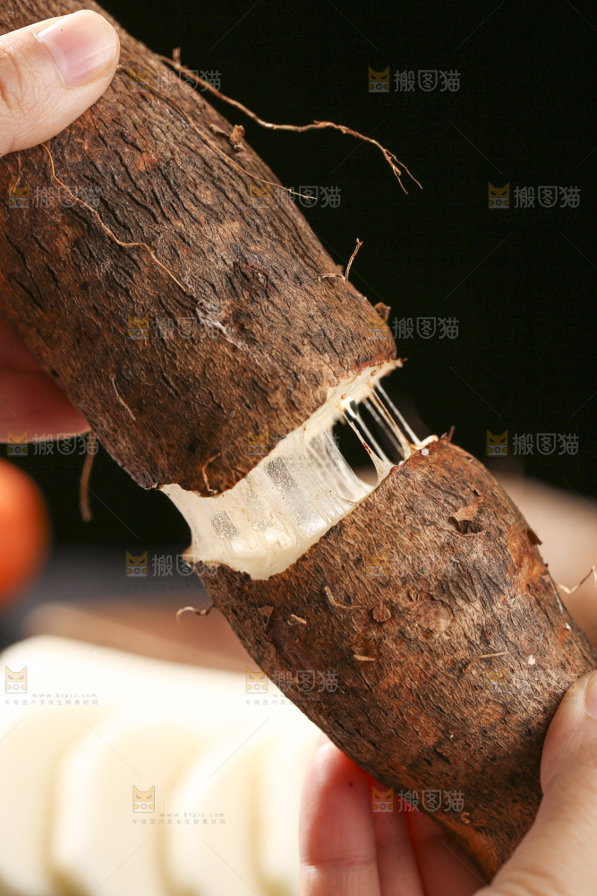 深底上放着灵芝山药