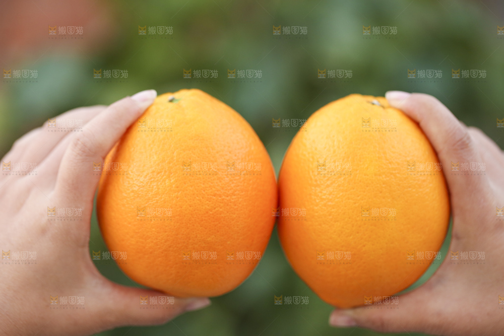 手里拿着赣南脐橙