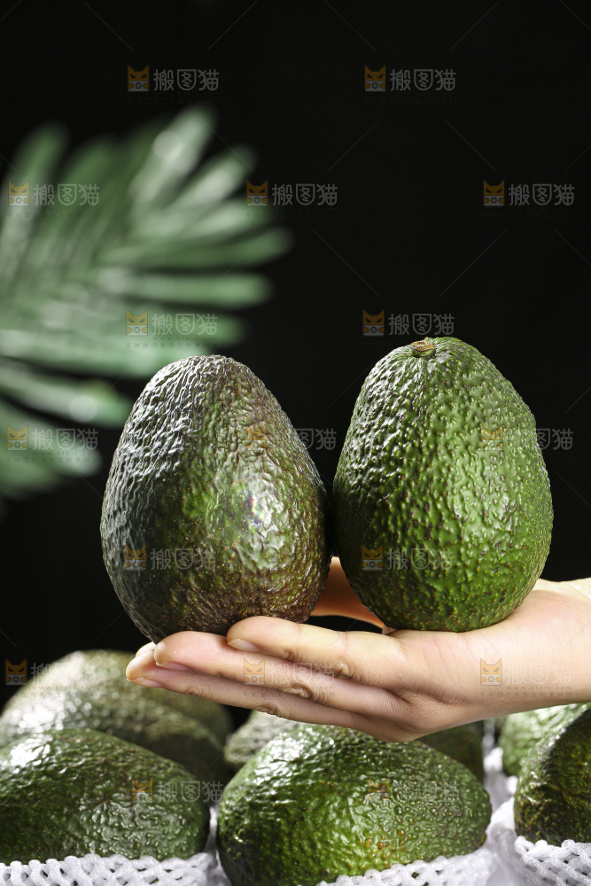 木底上的墨西哥牛油果