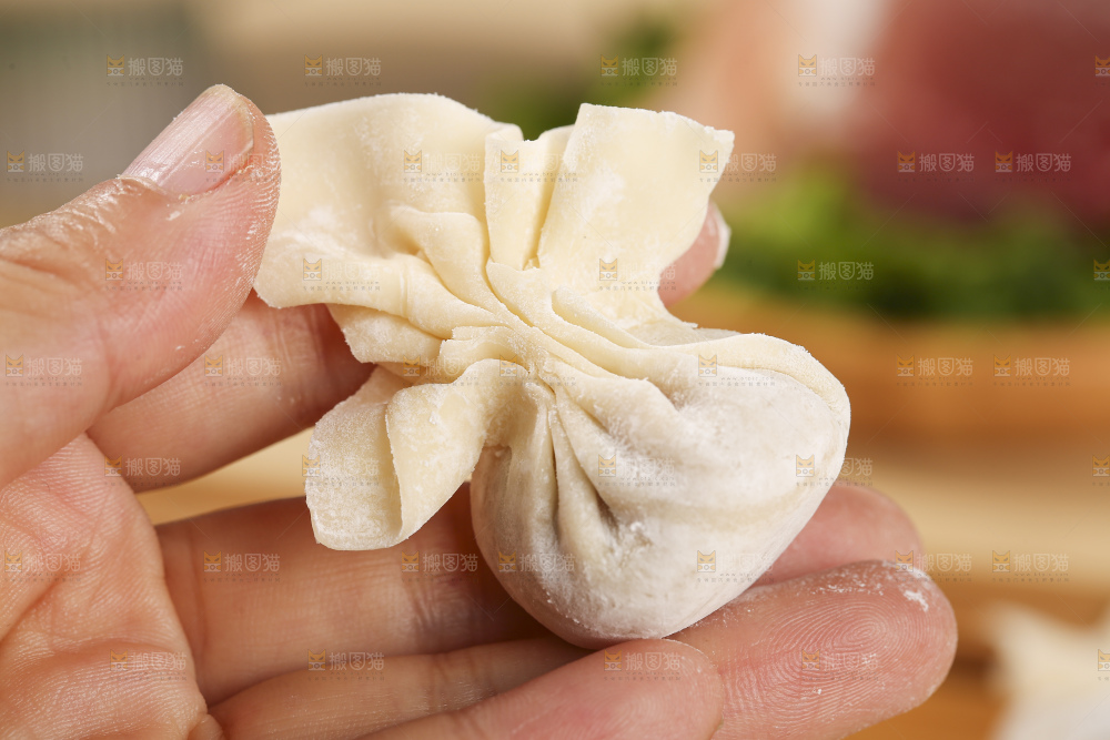 浅底上的小金鱼馄饨