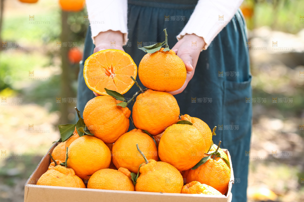 手里拿着丑八怪