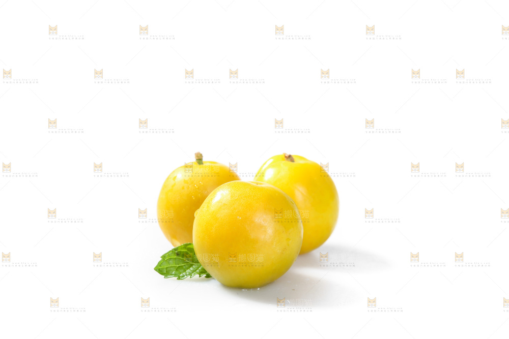 白底上的蜂糖李
