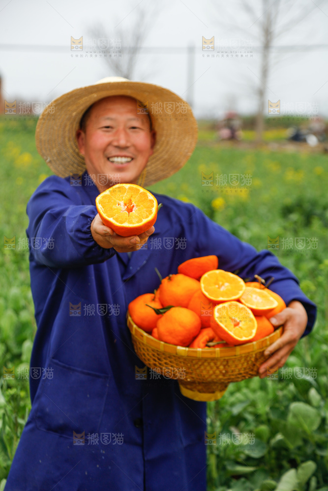 手里拿着耙耙柑