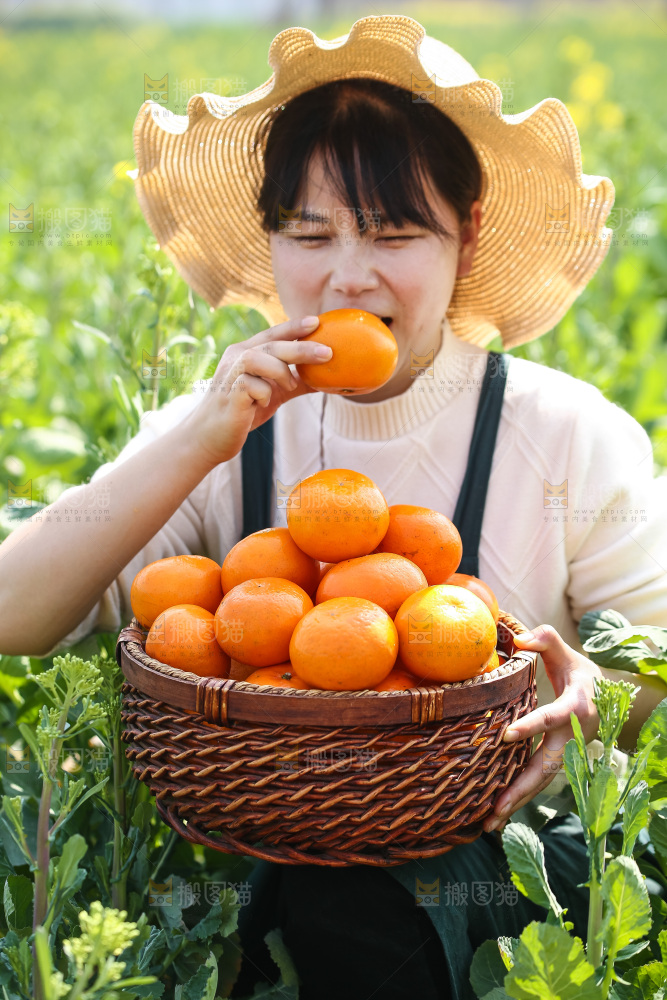 手里拿着新鲜沃柑